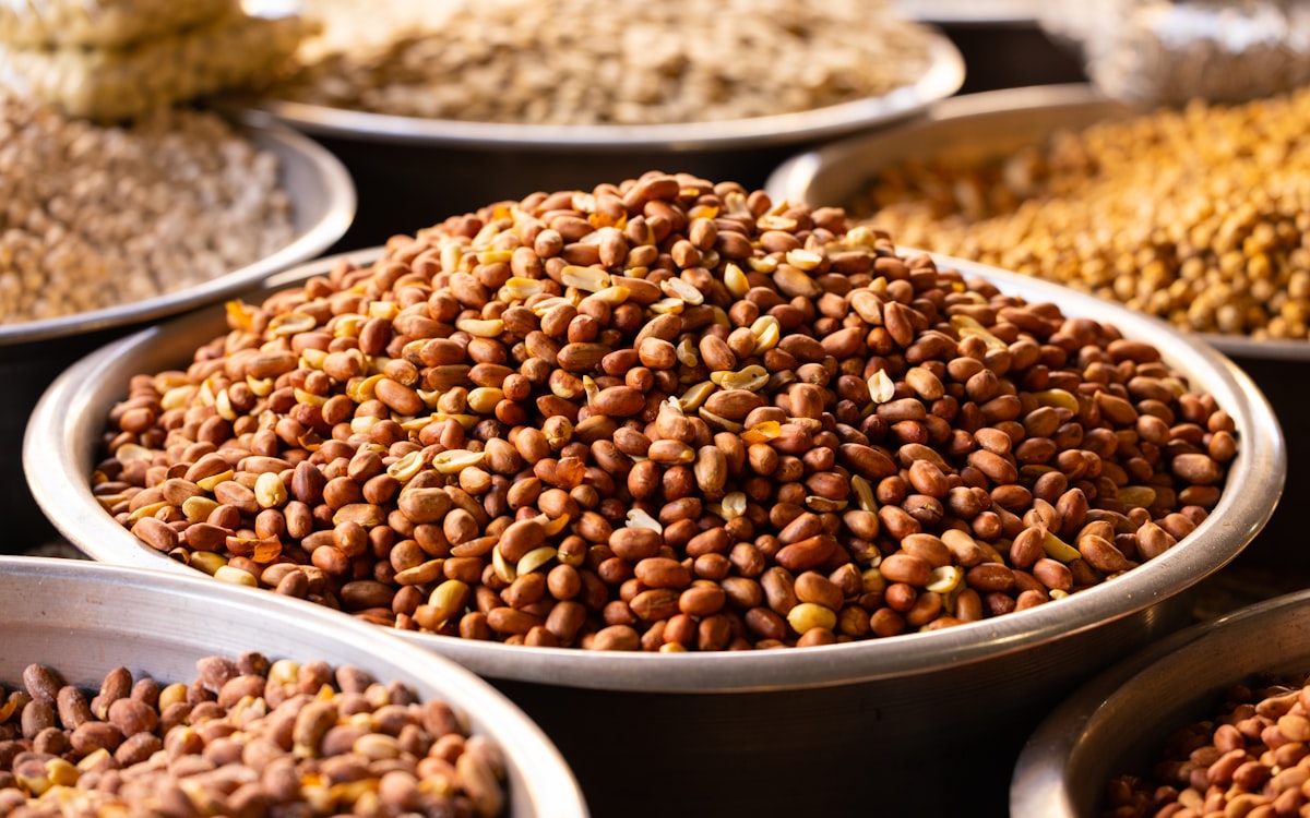 Lista dei 14 allergeni obbligatori